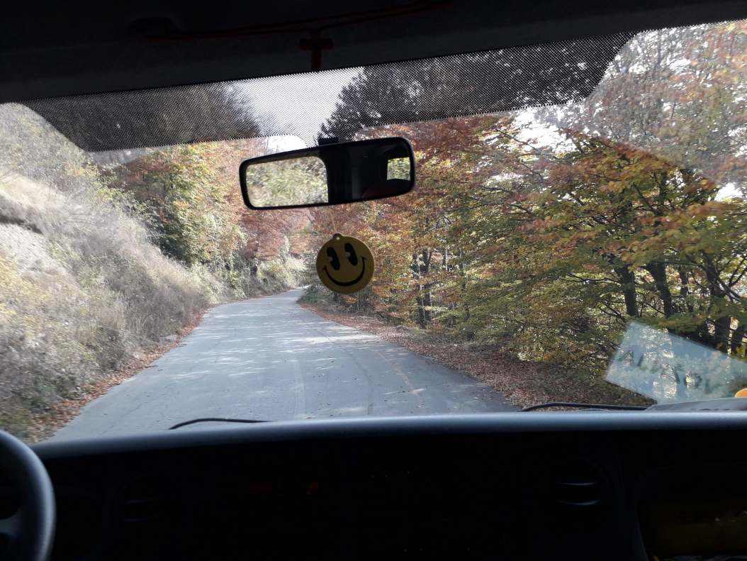 20181018_112849.jpg