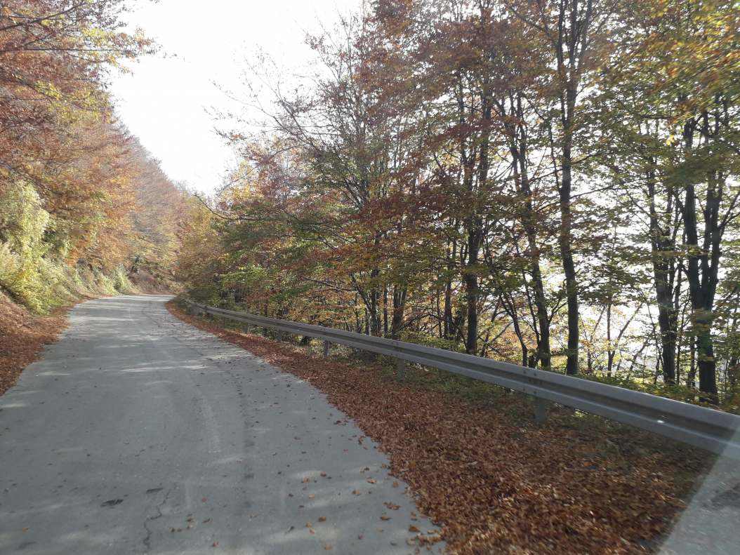 20181018_112914.jpg