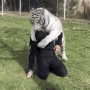 6.gif.b2ebdaf1b81468c19ef25bdd98b0a727.gif