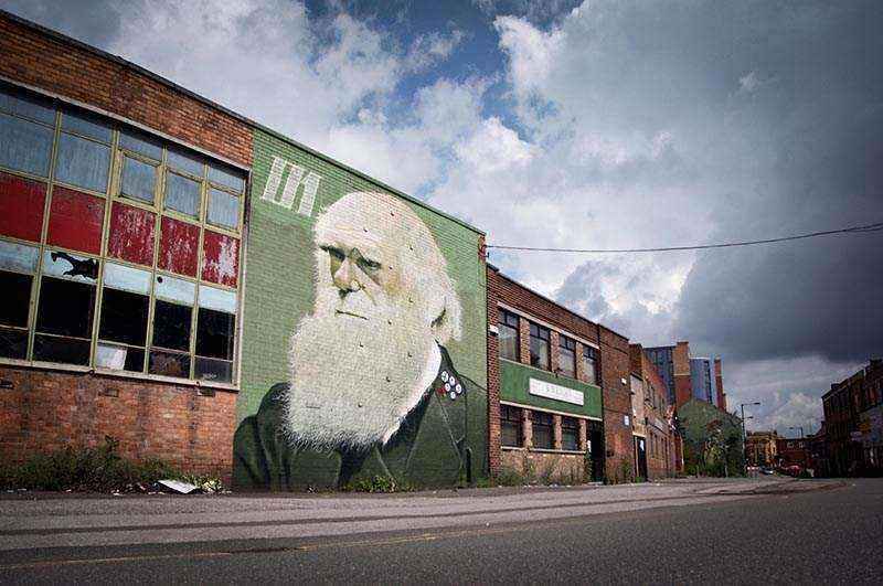 darwin-1.jpg