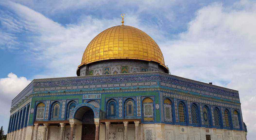 20181105_133714.jpg