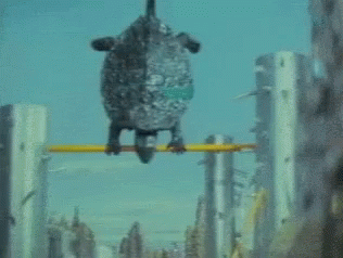 2.gif.4535b082f619102c805257957723671f.gif