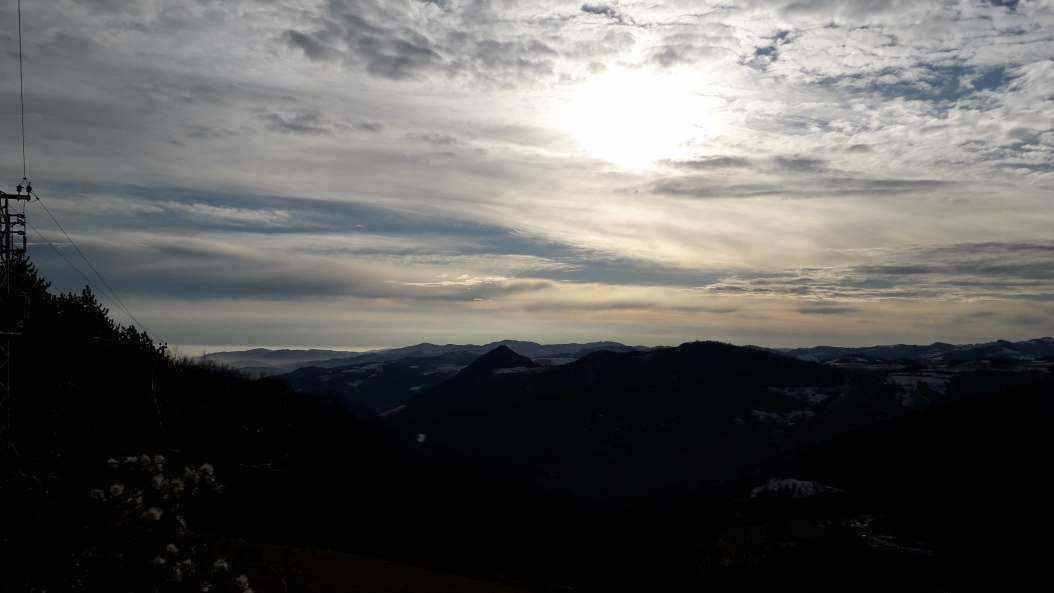 20181203_084457.jpg