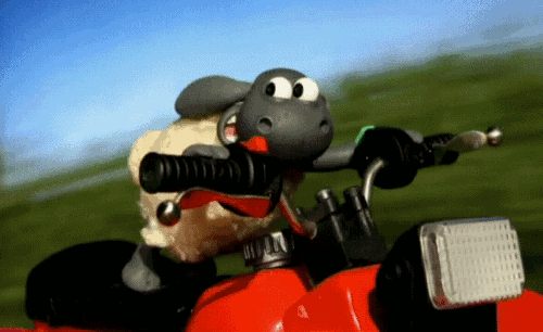 1.gif.35a2d119308c6688e4e90b195581cb84.gif