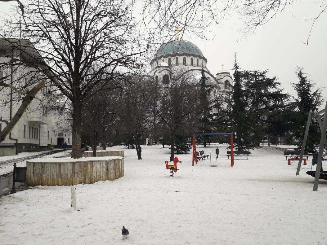 20190109_091332.jpg