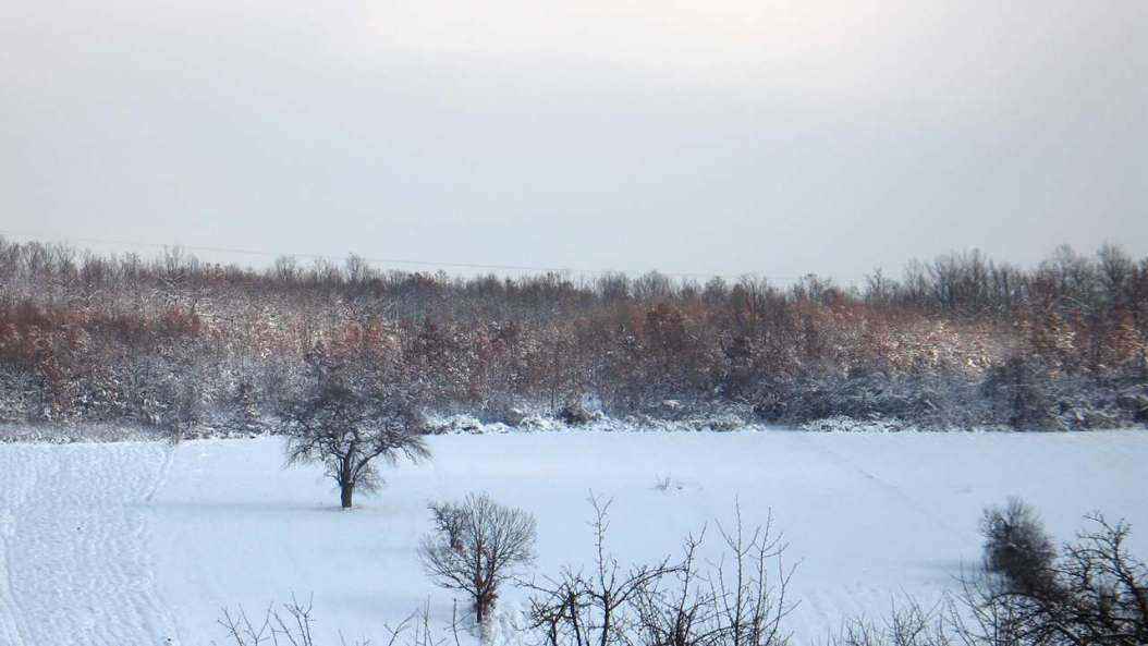 674838317_slika-slika033.thumb.jpg.4d7e272a09af73800ff954ab39874207.jpg
