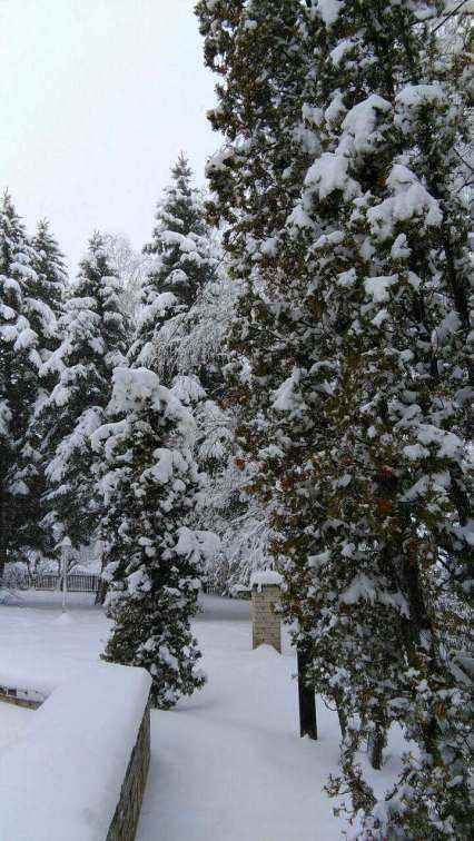 IMG-62bfa2257b9ead758eb7ac466c64167d-V.jpg
