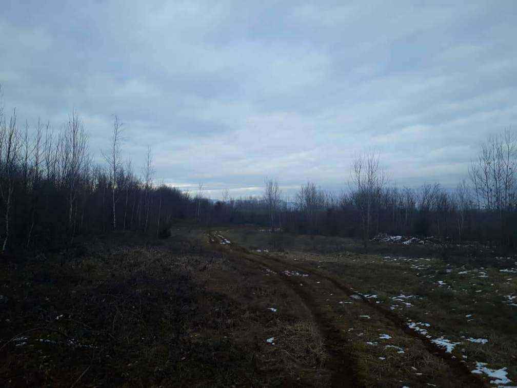 IMG_20190113_140220_653.jpg