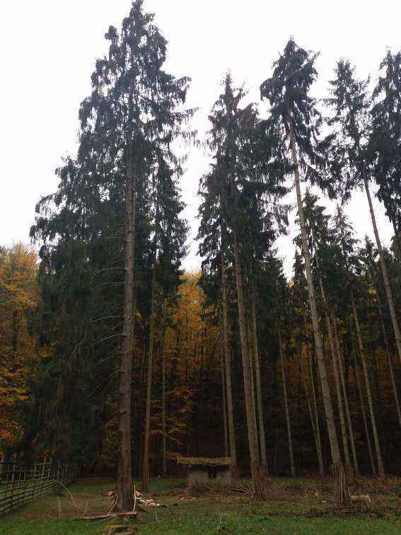 20181104_122404.jpg