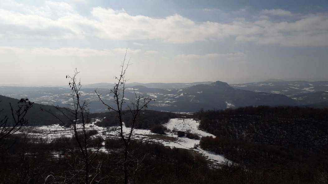20190209_110729.jpg