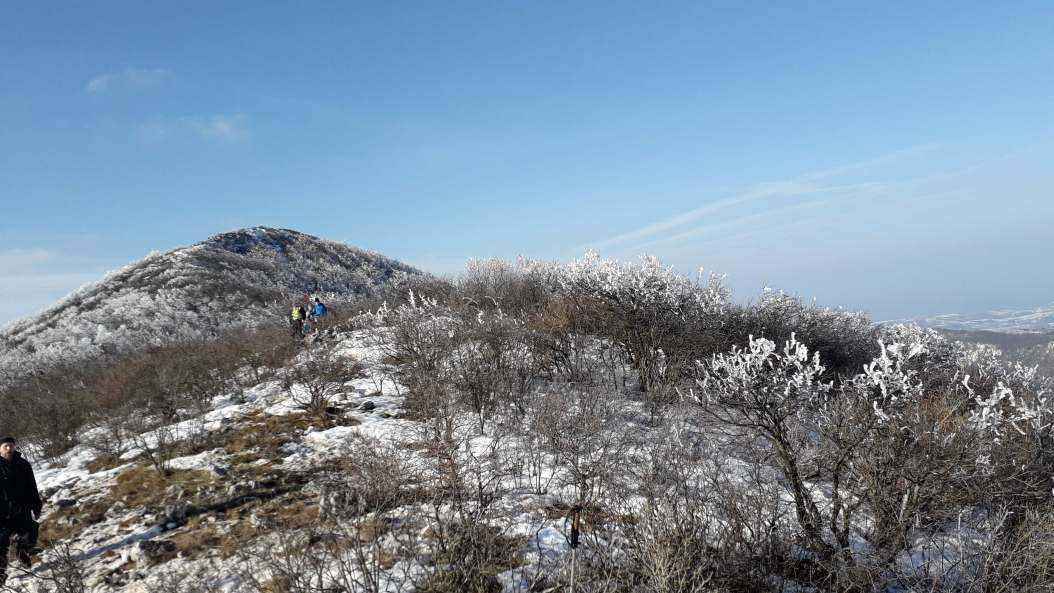 20190209_141814.jpg