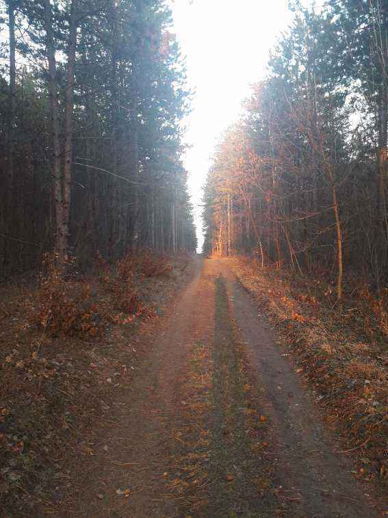 20190217_165115.jpg