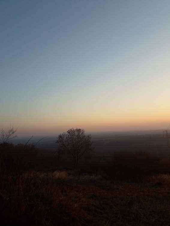 20190217_165651.jpg