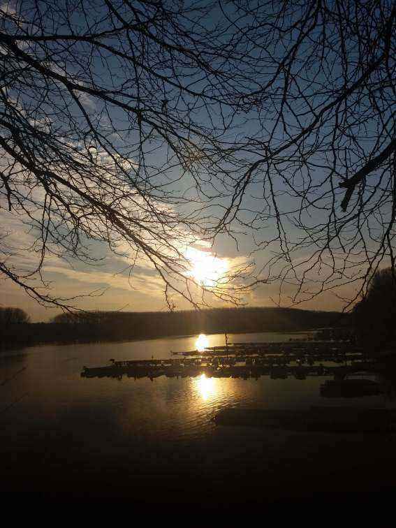 20190225_163528.jpg