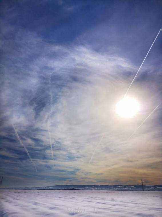 IMG_20190127_105544-01-01-01.jpeg