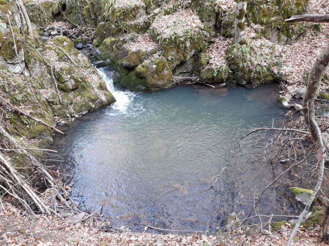 20190323_162715.jpg