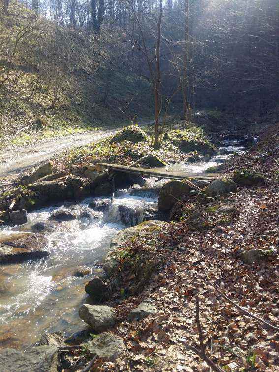 20190324_144720.jpg