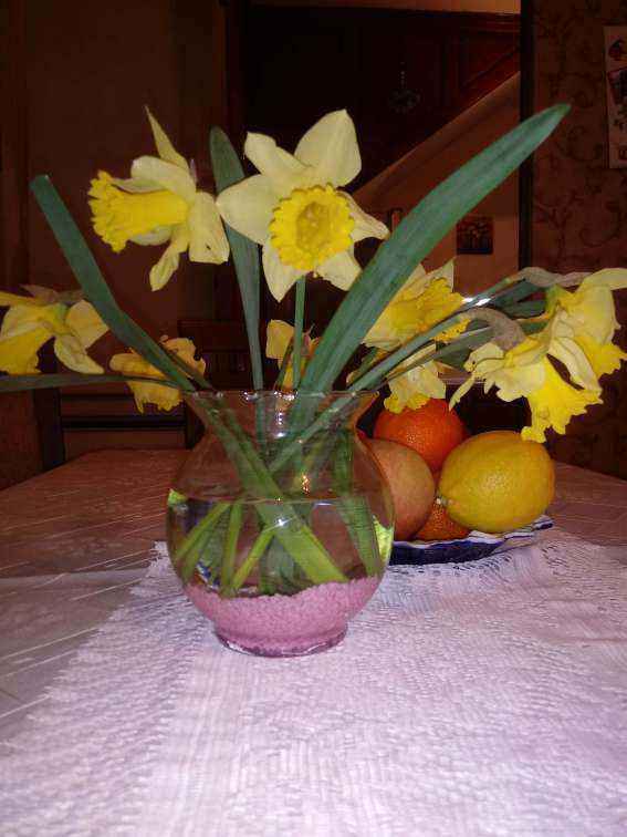 20190325_164107.jpg