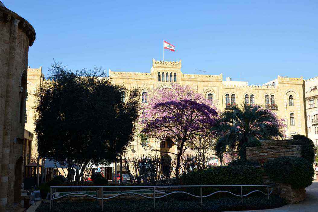 D_596.JPG