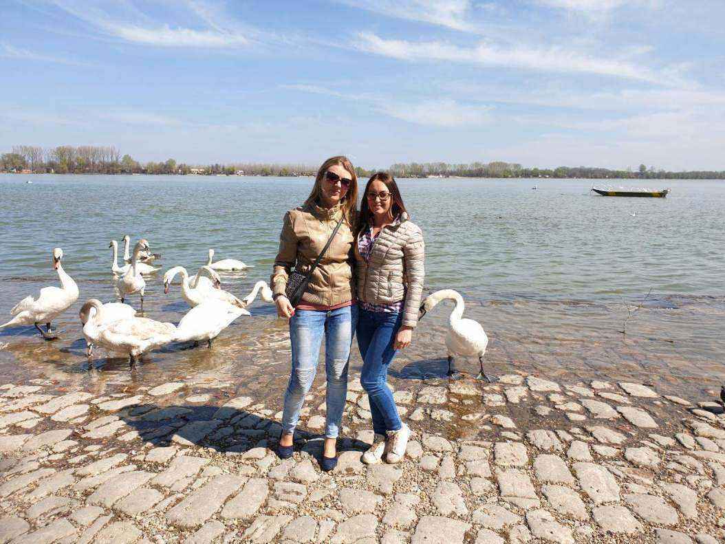IMG-510b1babb447f46efb091525fe5178cc-V.jpg