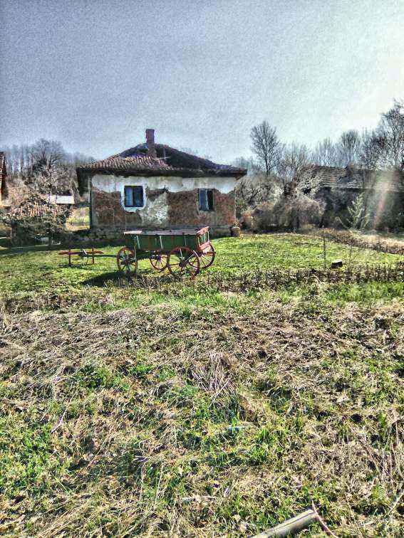 Ultimate_HDR_Camera_20190319_102928.jpg