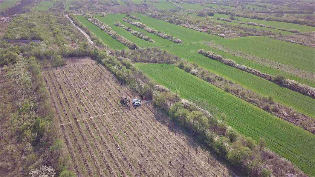 13520573_DJI_02582019-04-02-20-34-13.thumb.JPG.792d1476cde167cf22eff1cea6659e17.JPG