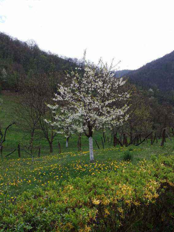 20190407_115341.jpg
