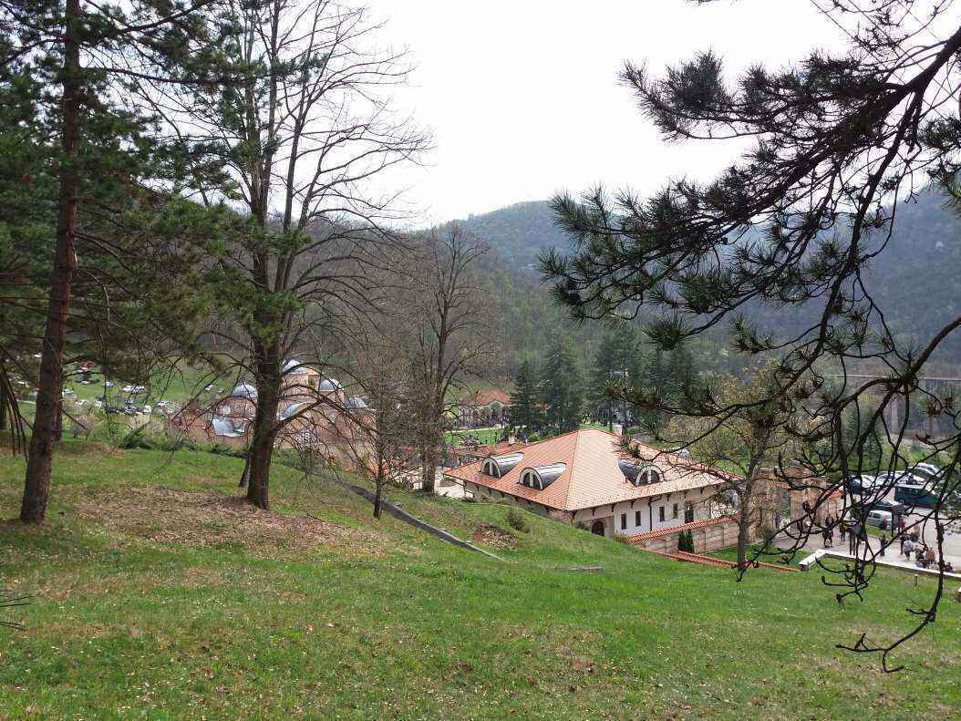 20190407_120803.jpg