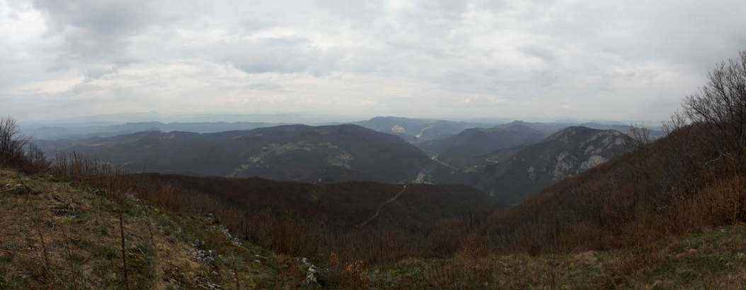 20190407_130032.jpg