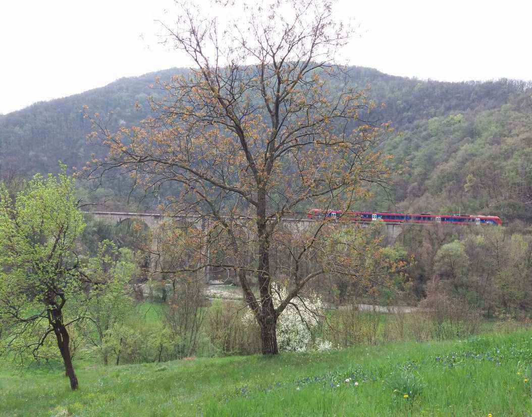 20190407_183349.jpg