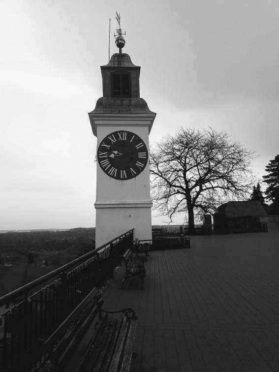 20190408_085126-EFFECTS.jpg
