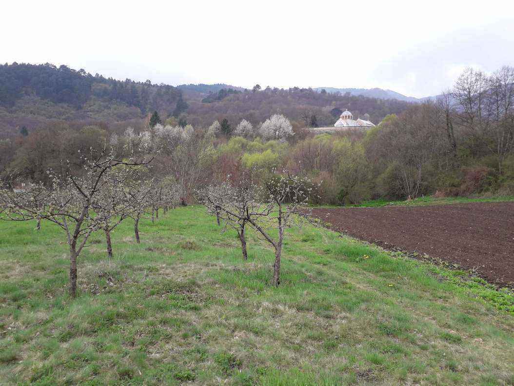 20190416_112103.jpg