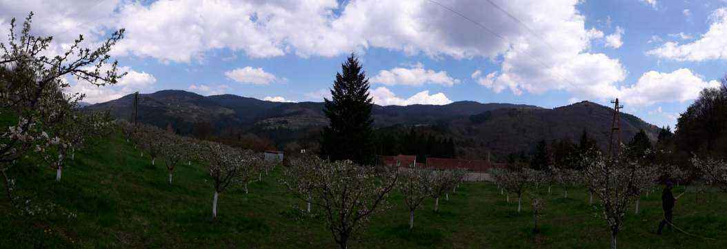 20190416_135832.jpg