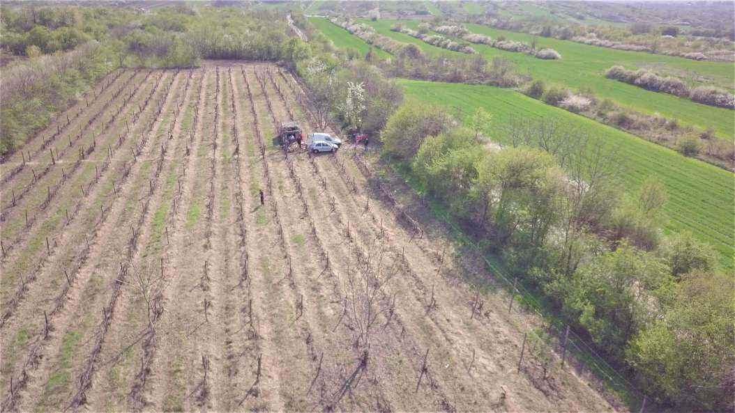 503644230_DJI_02572019-04-02-20-25-00.thumb.JPG.2ec940d5e6c5a4065662db06eeb94c70.JPG