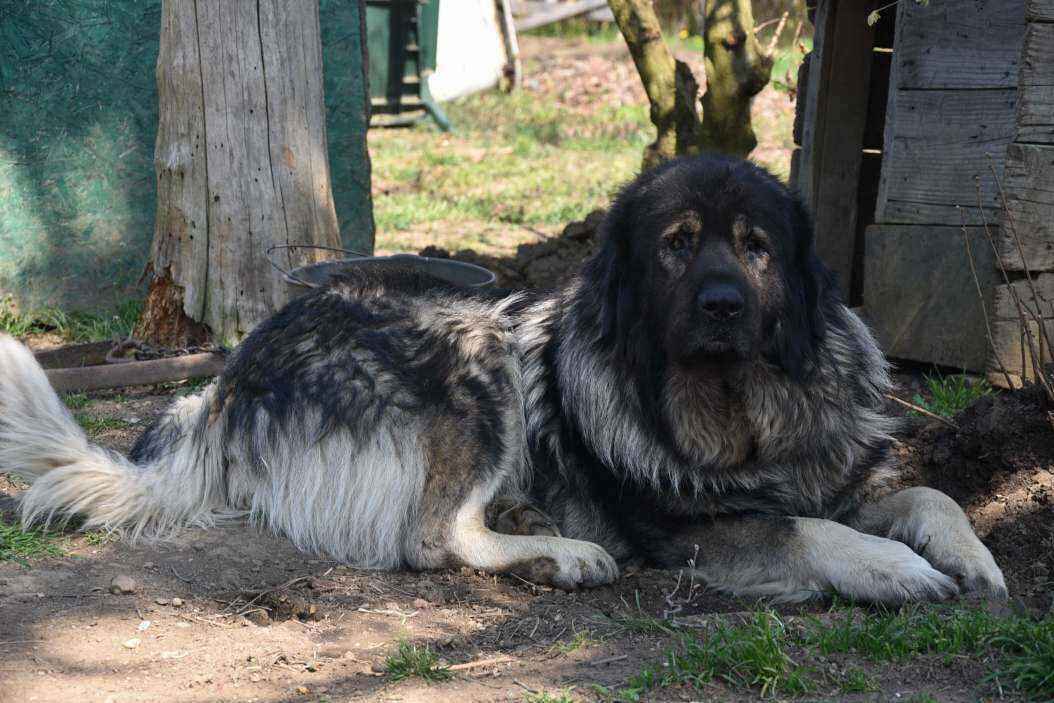 DSC_4728.JPG
