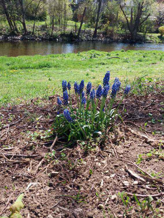 20190418_135653.jpg