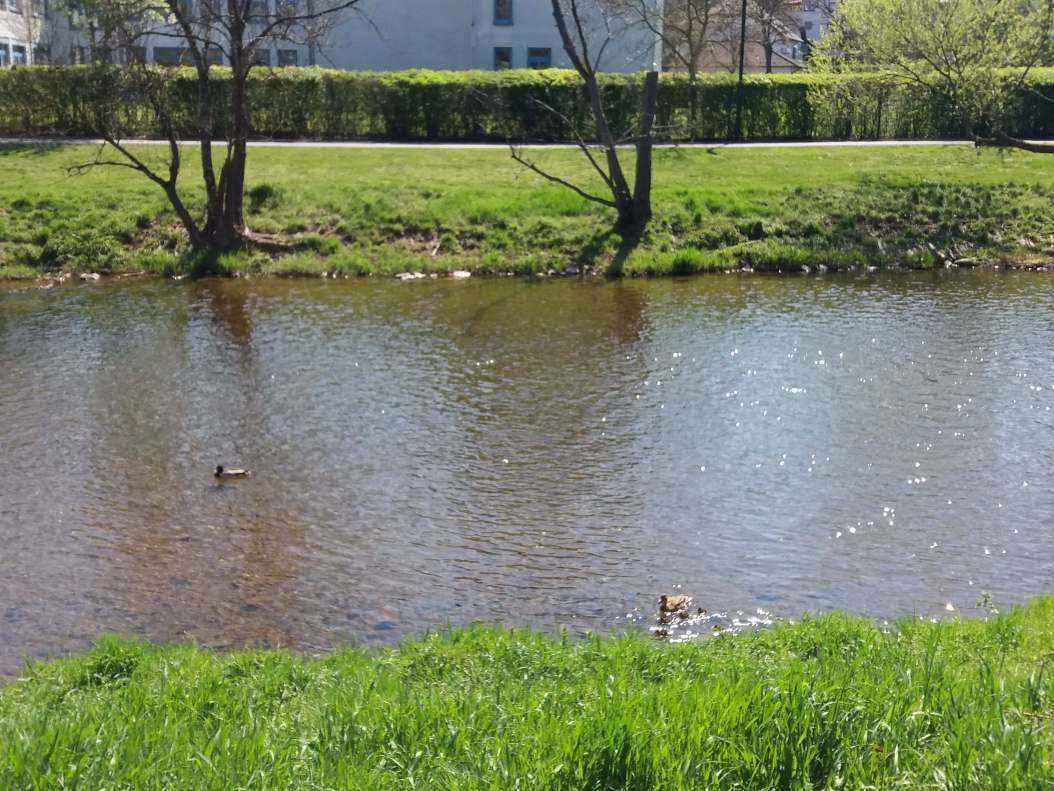 20190418_140321.jpg