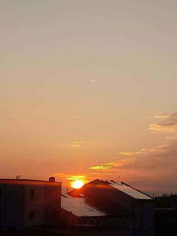 20190504_060028.jpg