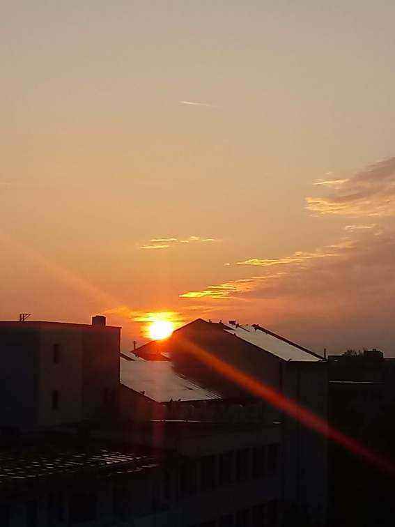 20190504_060108.jpg
