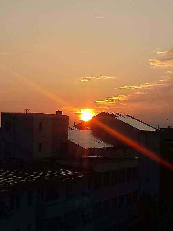 20190504_060124.jpg