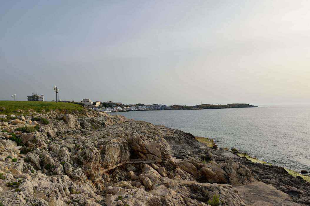 DSC_1178.JPG