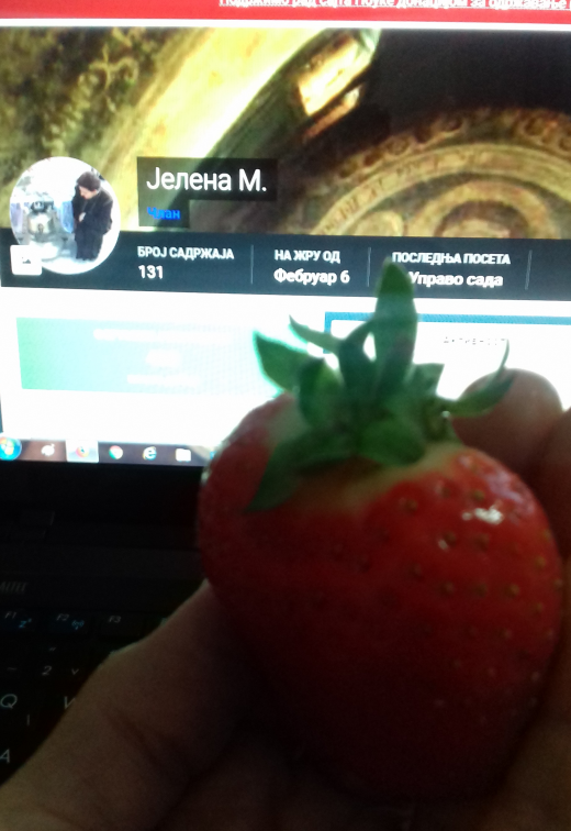 Untitledjagoda.png