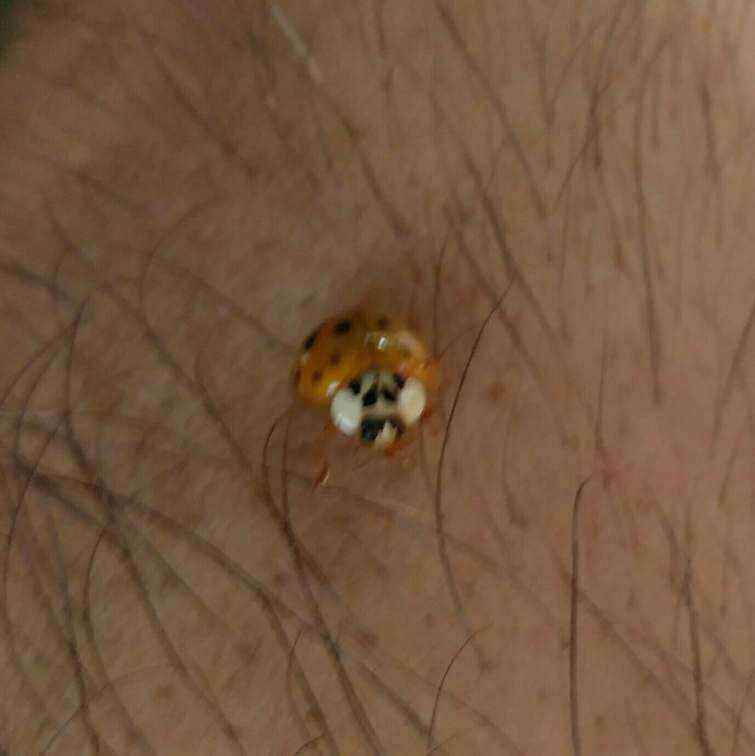 _20190620_184410.jpeg
