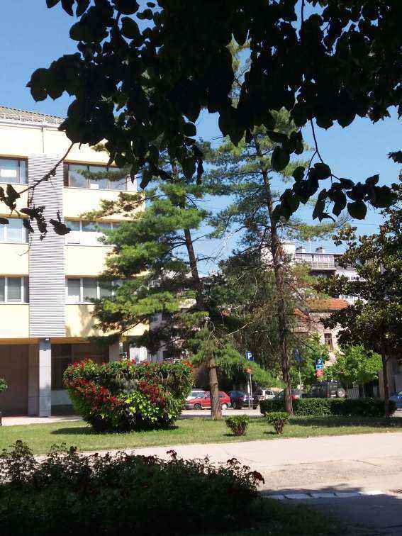 20190720_101250.jpg