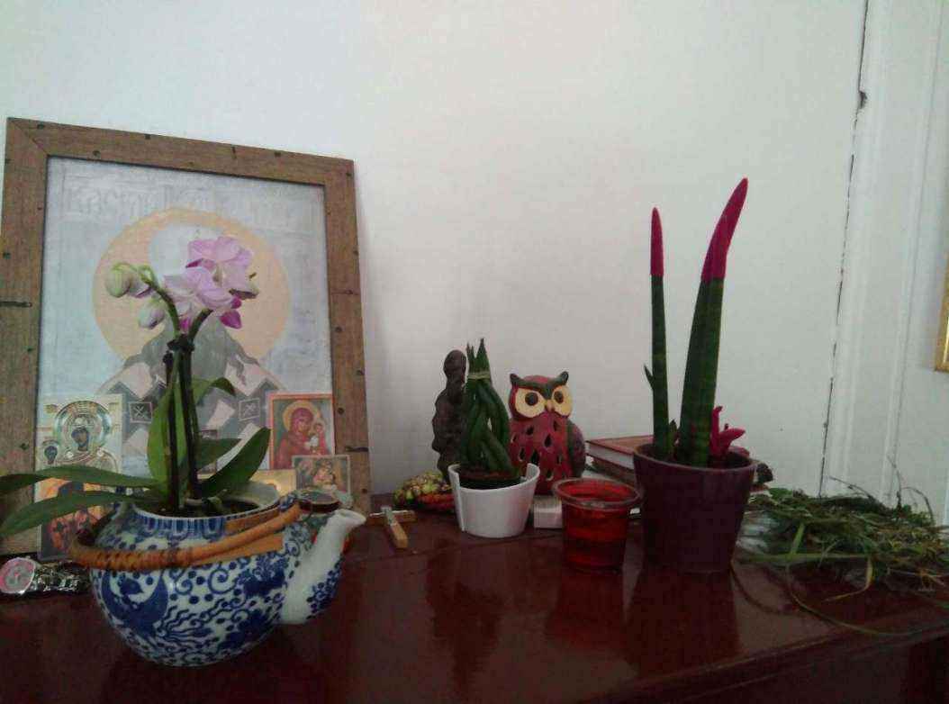 IMG-93f2b8a9533c361373df2eb21d20beb7-V.jpg