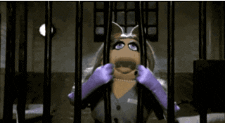 yyyyyyyyyyyyyyyyyyy.gif.546f840c82bdeb143c0c1ff19872535f.gif