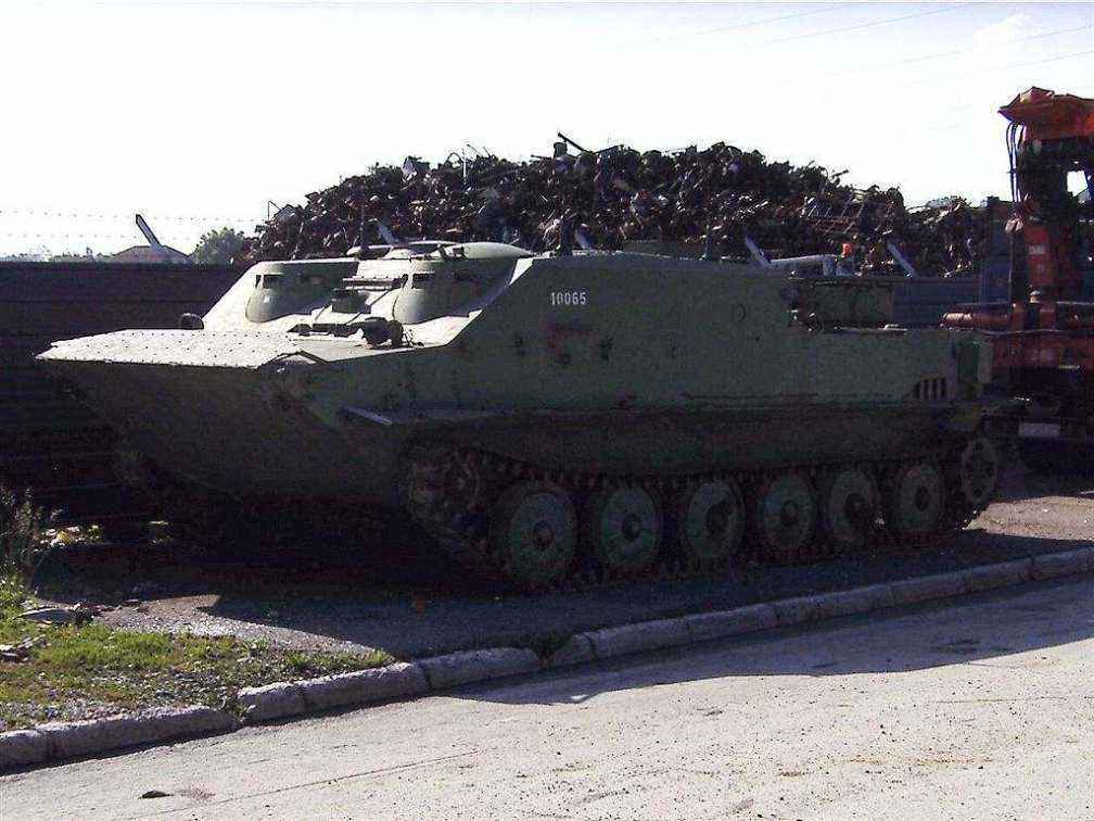 bov.jpg