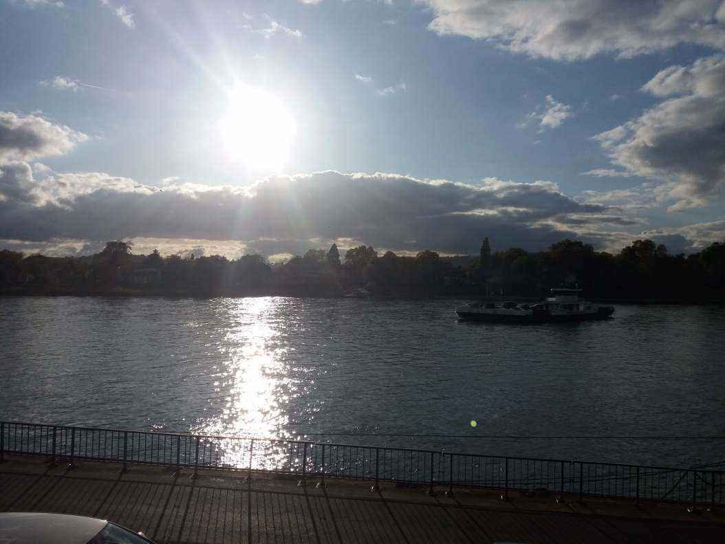 20191029_151225.jpg
