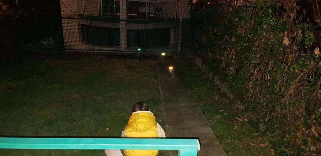 tri para.jpg