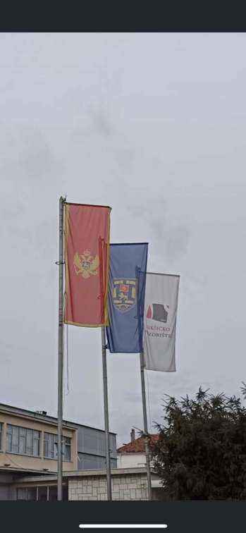 0-04-05-12c0f5eda066fd9ee2959ffe14679940980d89a53f8ac906bed8bd5773dd5038_c3b19386.thumb.jpg.ba42c421cdd5507be480d73cc4b1b0d0.jpg